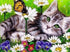 Resting Cat & Butterfly Diamond Painting